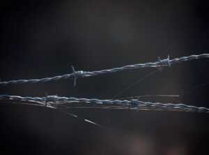 How immorpos35.3 Works