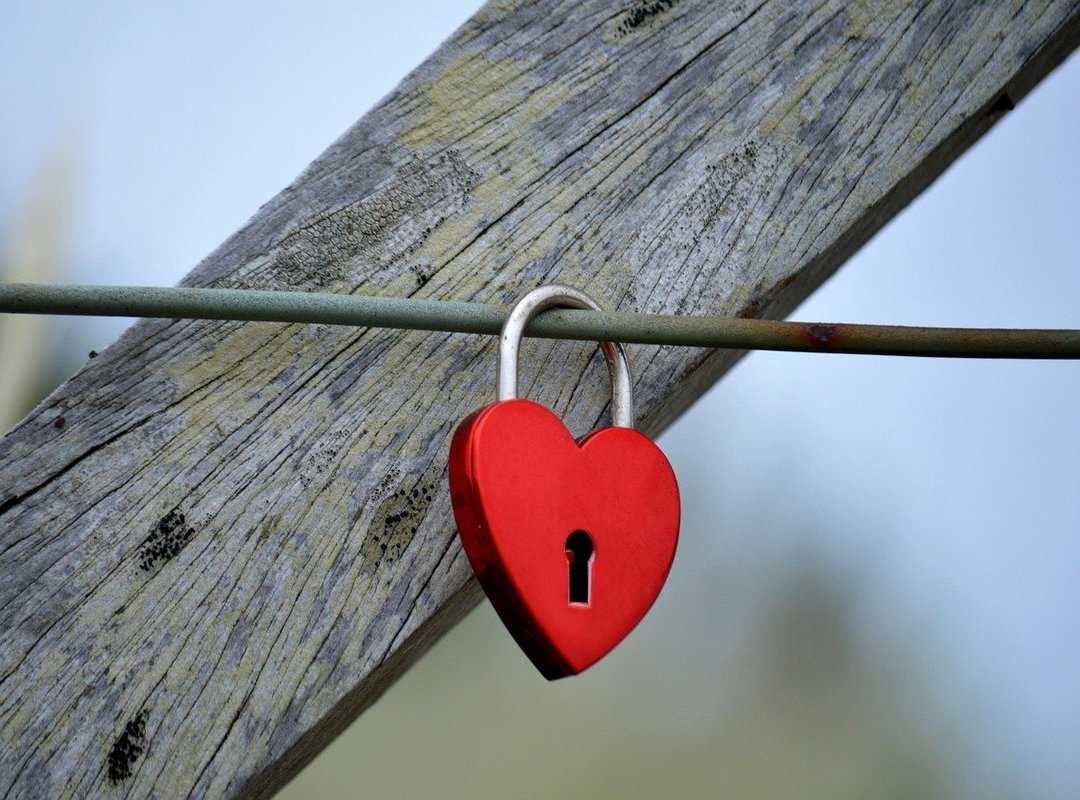 Software Gfxpixelment