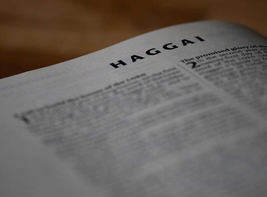 Why Upgrade immorpos35.3 Software Regularly