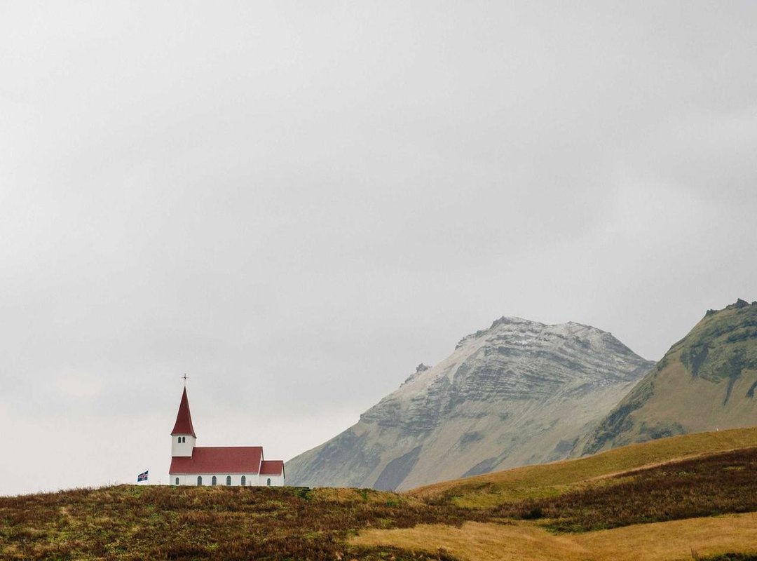 For Curiosity's Sake: What Does Science Actually Say About Height and Lifespan?