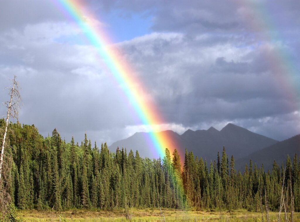 kleurplaat rainbow friends purple