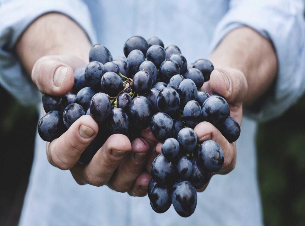 sotwe prot prot