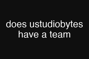 does ustudiobytes have a team